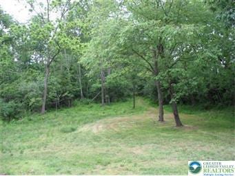 2423 Post Rd, Upper Macungie Twp, PA 18106 - view of local wilderness