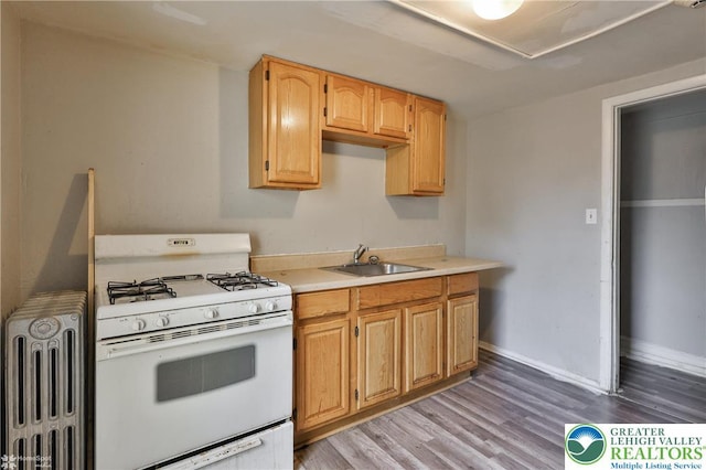 209 Cattell St, Easton, PA 18042 - kitchen featuring white range with gas stovetop, light wood finished floors, and light countertops