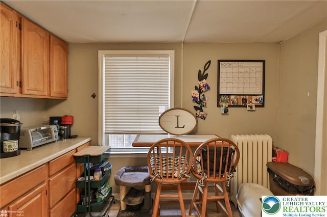 209 Cattell St, Easton, PA 18042 - dining area featuring radiator