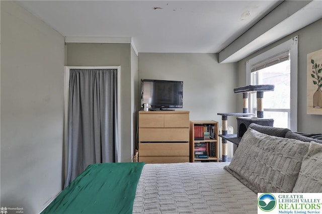 209 Cattell St, Easton, PA 18042 - view of bedroom