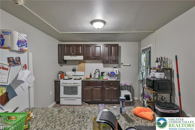 209 Cattell St, Easton, PA 18042 - kitchen featuring white appliances, under cabinet range hood, light wood finished floors, and dark brown cabinets