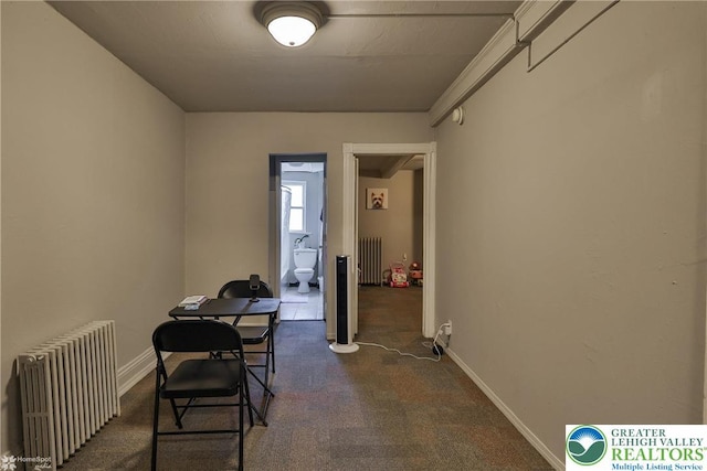 209 Cattell St, Easton, PA 18042 - dining area with radiator and dark colored carpet