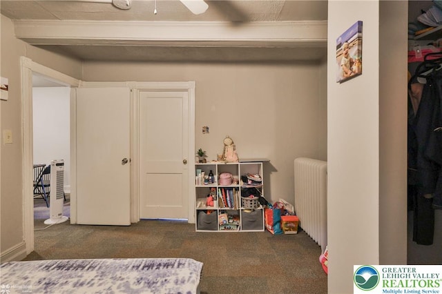 209 Cattell St, Easton, PA 18042 - carpeted bedroom featuring radiator heating unit