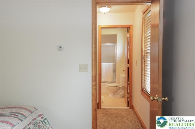 717 Claremont Ave, Schuylkill, PA 18252 - bedroom featuring carpet flooring, multiple windows, and ensuite bath
