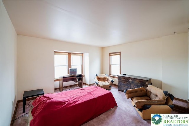 638 N 16th St, Allentown City, PA 18102 - bedroom with carpet