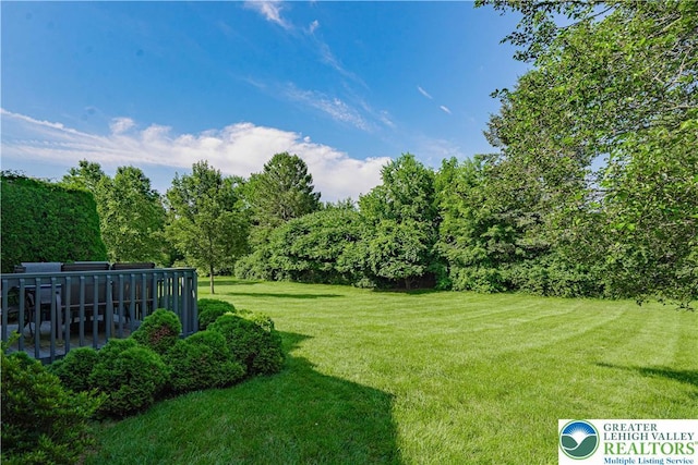21 Winfield Ct, Easton, PA 18045 - view of grassy yard with a view of trees