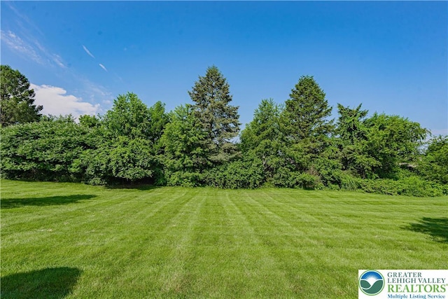 21 Winfield Ct, Easton, PA 18045 - view of green lawn