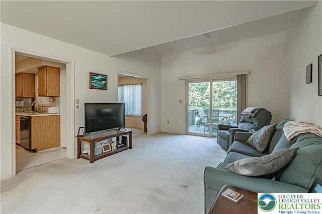 21 Winfield Ct, Easton, PA 18045 - living area with light colored carpet