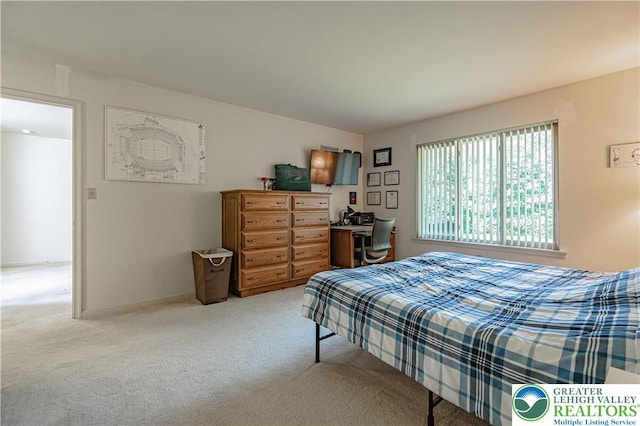 21 Winfield Ct, Easton, PA 18045 - bedroom featuring carpet