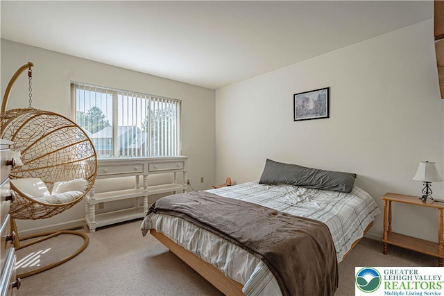 21 Winfield Ct, Easton, PA 18045 - view of carpeted bedroom