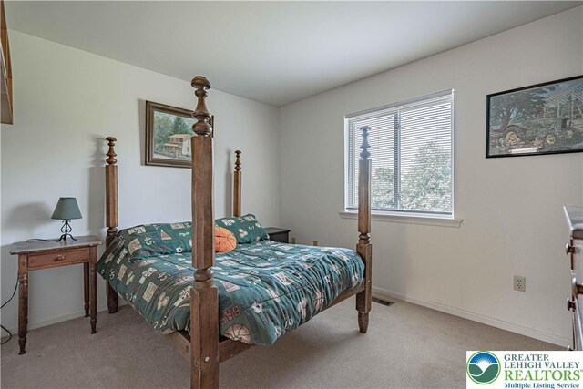 21 Winfield Ct, Easton, PA 18045 - carpeted bedroom with baseboards