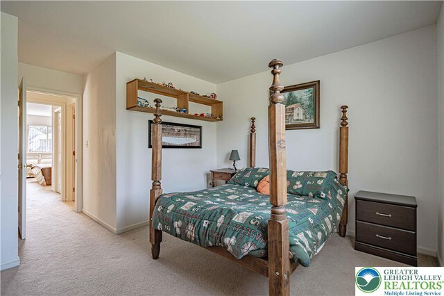 21 Winfield Ct, Easton, PA 18045 - bedroom featuring carpet floors