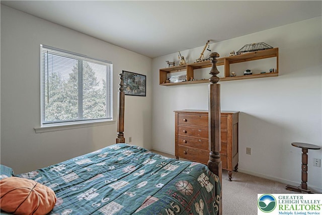 21 Winfield Ct, Easton, PA 18045 - bedroom with carpet and baseboards