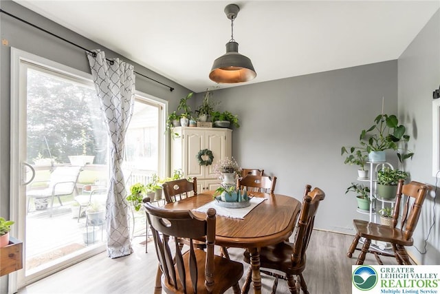 104 Stephanie Dr, Palmer Twp, PA 18045 - dining space featuring light wood-style flooring