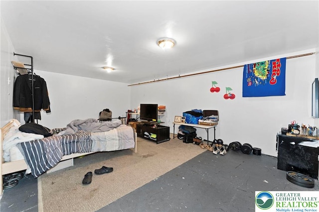 4116 Springmill Rd, Whitehall Twp, PA 18052 - view of bedroom