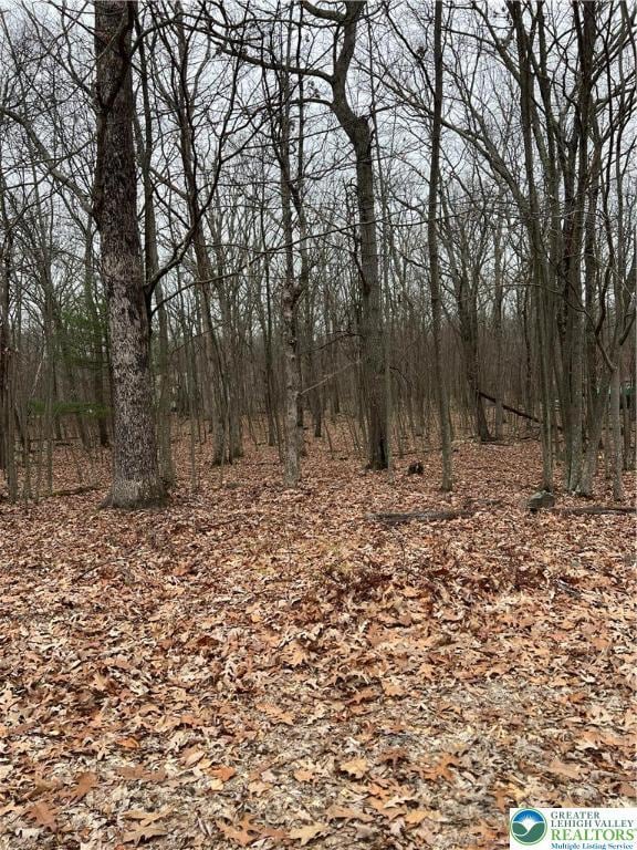 129 Fall Ct Unit 58, Pike, PA 18328 - photo 1