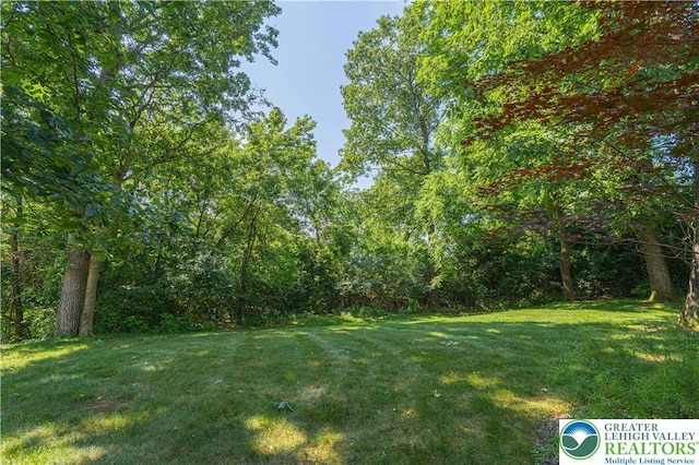 60 Clairmont, Palmer Twp, PA 18045 - photo 64