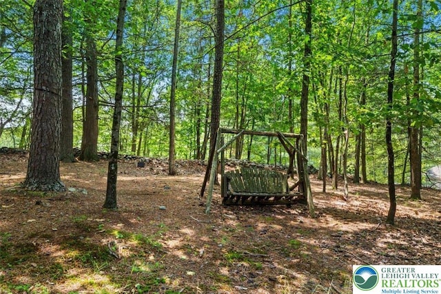 117 Manchester Dr, Lehman Twp, PA 18324 - view of nature