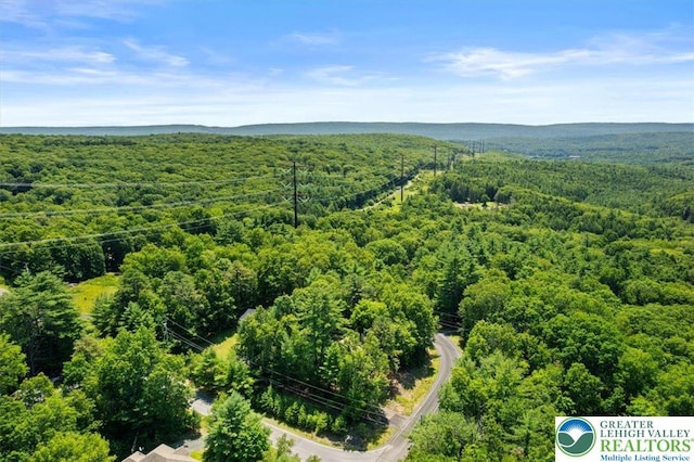 117 Manchester Dr, Lehman Twp, PA 18324 - drone / aerial view of a heavily wooded area