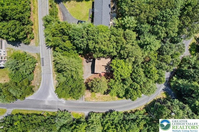 117 Manchester Dr, Lehman Twp, PA 18324 - bird's eye view