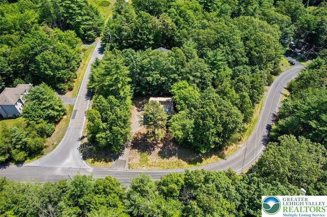 117 Manchester Dr, Lehman Twp, PA 18324 - bird's eye view