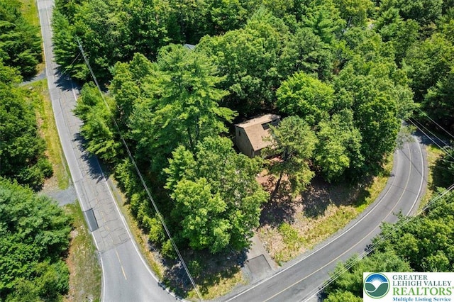 117 Manchester Dr, Lehman Twp, PA 18324 - bird's eye view