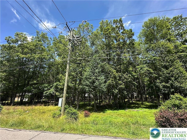 0 Hunter Ln, Penn Forest Twp, PA 18210 - photo 2