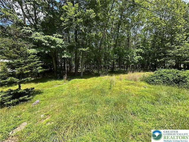 0 Hunter Ln, Penn Forest Twp, PA 18210 - photo 3