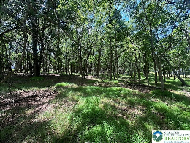 0 Hunter Ln, Penn Forest Twp, PA 18210 - photo 4