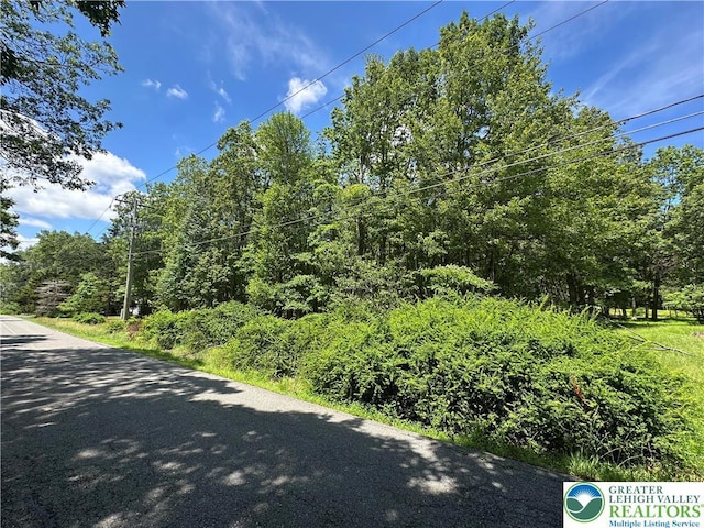 0 Hunter Ln, Penn Forest Twp, PA 18210 - photo 5