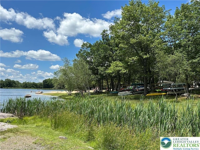 0 Hunter Ln, Penn Forest Twp, PA 18210 - photo 9