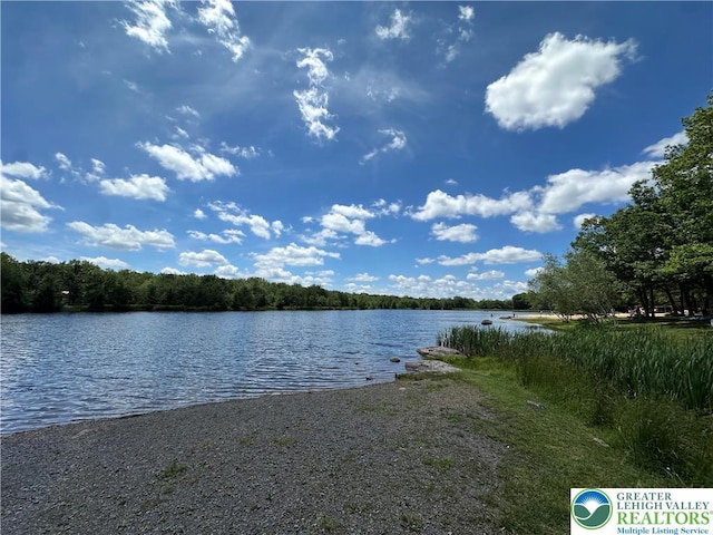 0 Hunter Ln, Penn Forest Twp, PA 18210 - photo 11