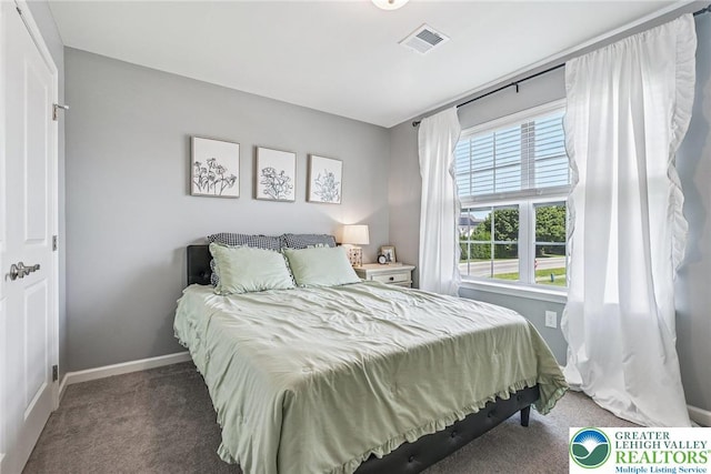 3334 Coventry Dr, Lower Macungie Twp, PA 18062 - carpeted bedroom with multiple windows