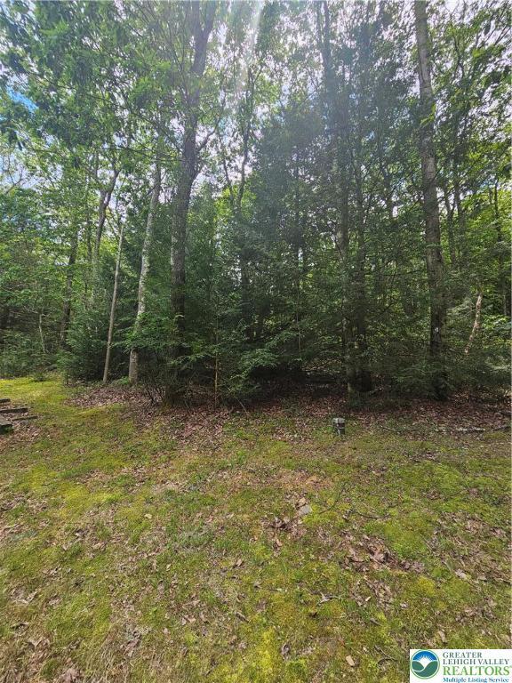 178 Sparrow Ln, Penn Forest Twp, PA 18229 - view of nature