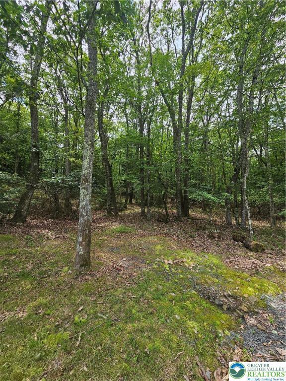 178 Sparrow Ln, Penn Forest Twp, PA 18229 - view of undeveloped land