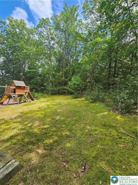 178 Sparrow Ln, Penn Forest Twp, PA 18229 - view of green lawn featuring a playground