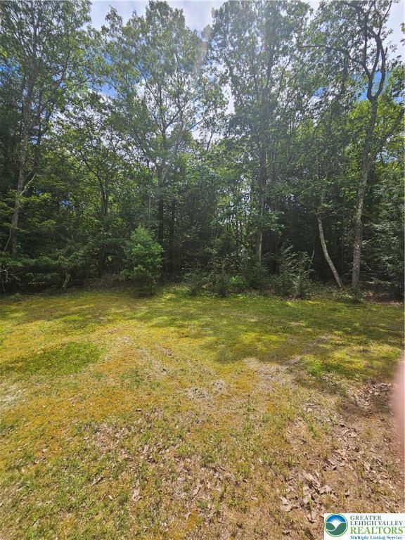 178 Sparrow Ln, Penn Forest Twp, PA 18229 - view of grassy yard