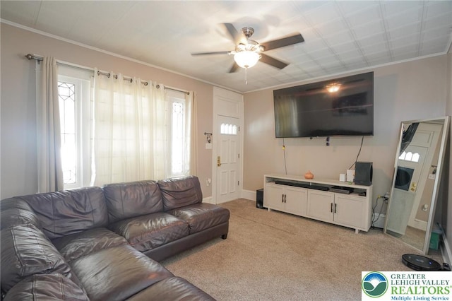 126 W High St, Coaldale Boro, PA 18218 - living area featuring a ceiling fan, light carpet, and crown molding