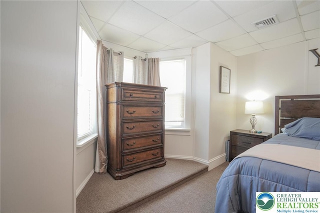 126 W High St, Coaldale Boro, PA 18218 - bedroom featuring a drop ceiling, multiple windows, and carpet
