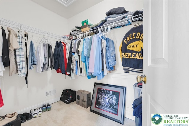 4325 Crosswinds Dr, Easton, PA 18045 - spacious closet with carpet floors