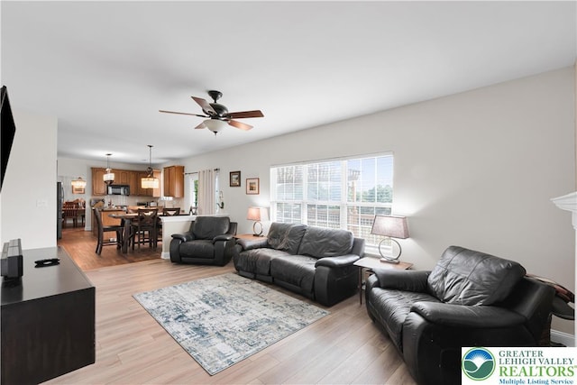 4325 Crosswinds Dr, Easton, PA 18045 - living area featuring a ceiling fan, plenty of natural light, and light wood-style floors