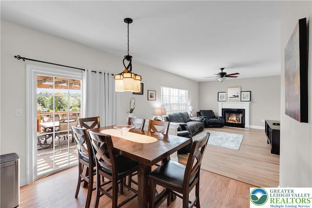 4325 Crosswinds Dr, Easton, PA 18045 - dining room with a ceiling fan, light wood-type flooring, and a glass covered fireplace