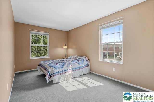 4220 Cheyenne Ct, North Whitehall Twp, PA 18078 - carpeted bedroom with baseboards