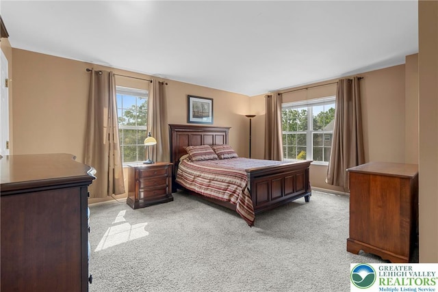 4220 Cheyenne Ct, North Whitehall Twp, PA 18078 - bedroom featuring light colored carpet