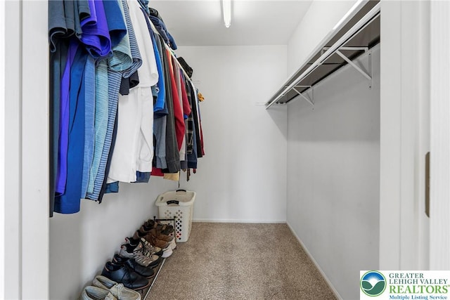 4220 Cheyenne Ct, North Whitehall Twp, PA 18078 - spacious closet featuring carpet flooring