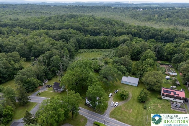 1155 Lake Minsi Dr, Upper Mt Bethel Twp, PA 18013 - aerial overview of property's location featuring a forest