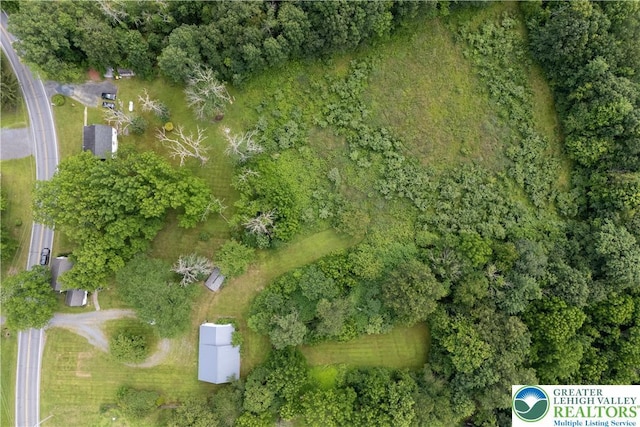 1155 Lake Minsi Dr, Upper Mt Bethel Twp, PA 18013 - aerial view of property's location