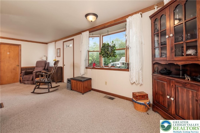1155 Lake Minsi Dr, Upper Mt Bethel Twp, PA 18013 - home office featuring carpet floors and ornamental molding