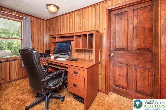 1155 Lake Minsi Dr, Upper Mt Bethel Twp, PA 18013 - office featuring wood walls