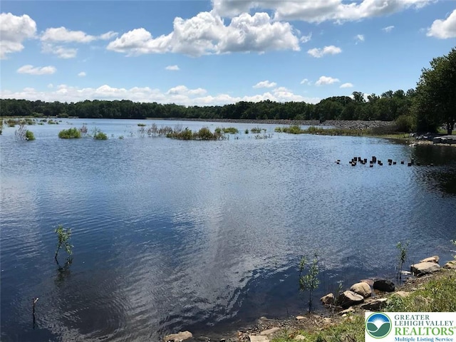 1155 Lake Minsi Dr, Upper Mt Bethel Twp, PA 18013 - water view featuring a forest